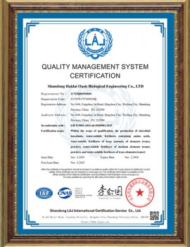 quality management system certification