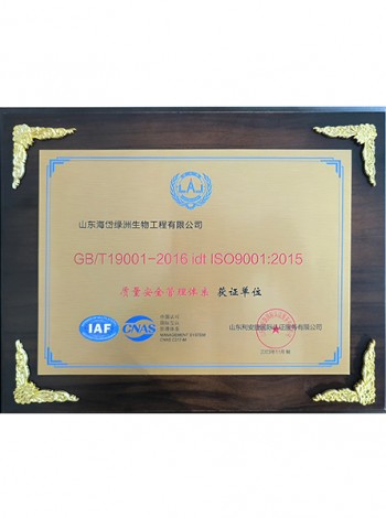 Quality and Safety Management System Certification Unit