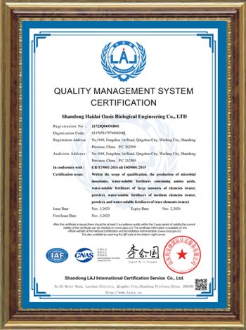 quality management system certification